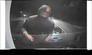 Vehicle B&E Suspects