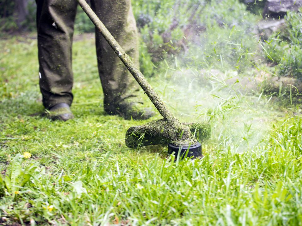 Weed Eater