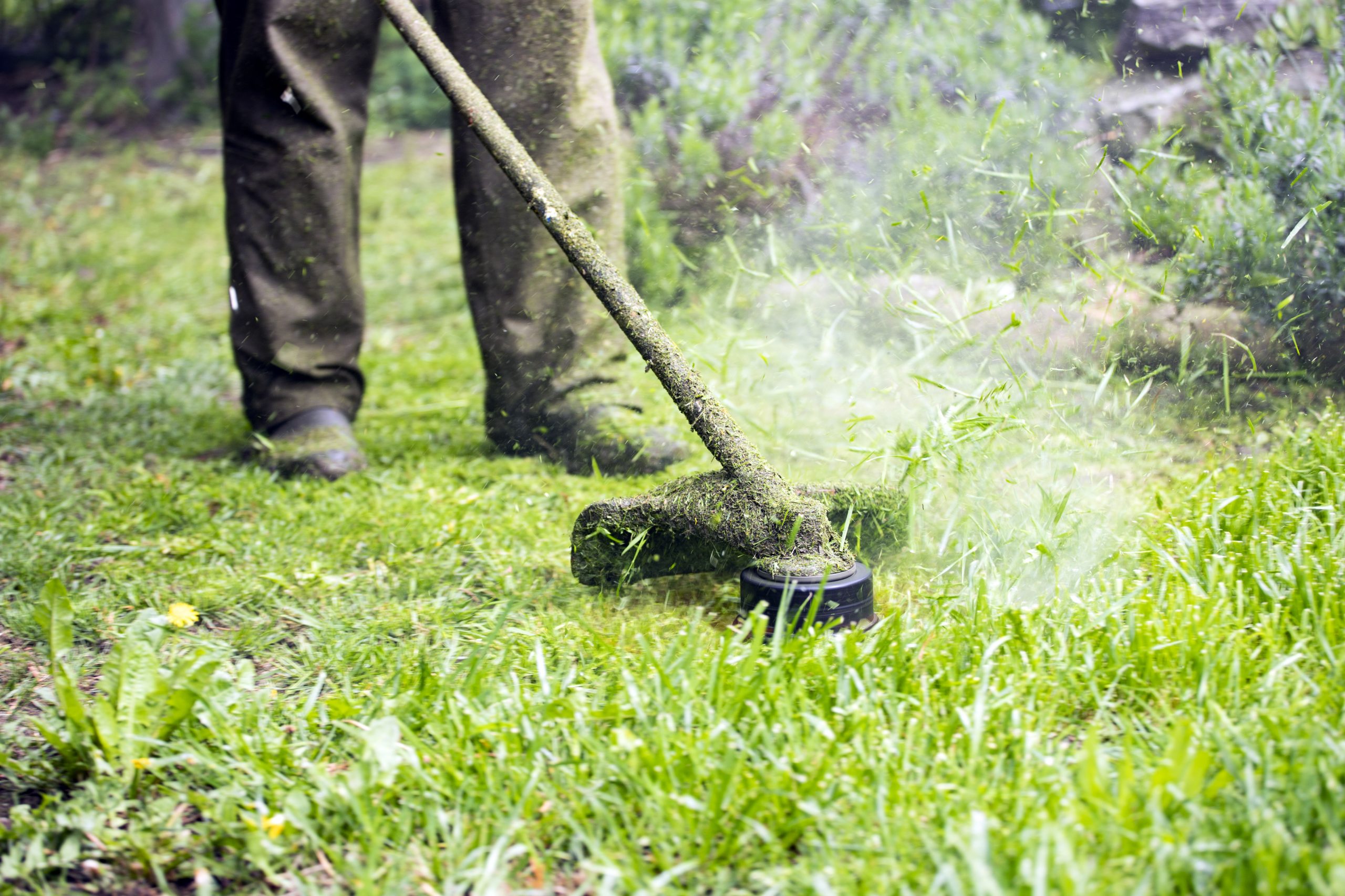 Weed Eater